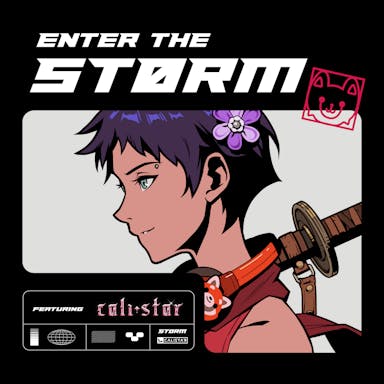 Enter the Storm